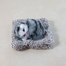 Soft Plush Cute Open - Eye Cat Car Dashboard Showpiece Toy (1 Pc) - justgrabit.in | Just Grab It