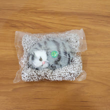 Soft Plush Cute Open - Eye Cat Car Dashboard Showpiece Toy (1 Pc) - justgrabit.in | Just Grab It