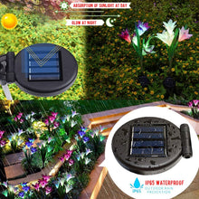 Solar Garden Flower Lights - (2Pc Set) - justgrabit.in | Just Grab It