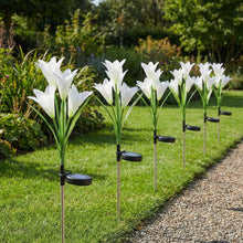 Solar Garden Flower Lights - (2Pc Set) - justgrabit.in | Just Grab It