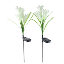 Solar Garden Flower Lights - (2Pc Set) - justgrabit.in | Just Grab It