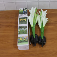 Solar Garden Flower Lights - (2Pc Set) - justgrabit.in | Just Grab It
