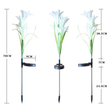 Solar Garden Flower Lights - (2Pc Set) - justgrabit.in | Just Grab It