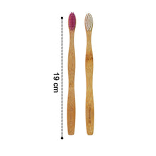 Eco - Friendly Natural Bamboo Toothbrush with Medium Bristles (2 Pc) - Justgrabit Inc.
