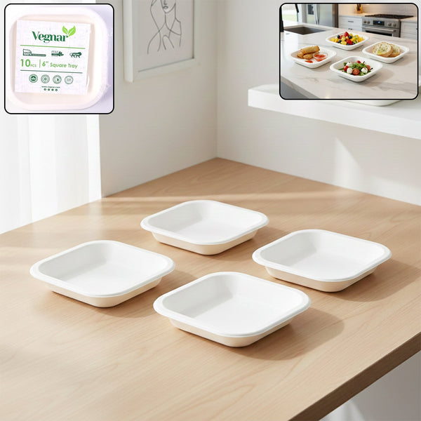 Disposable Square Food Serving Tray Set (10 Pc) - justgrabit.in | Just Grab It