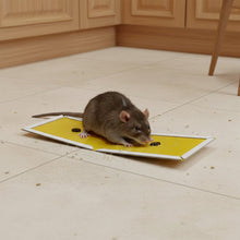 PCI Cardboard Troublegum Small Size Mouse Trap - 10Pc - justgrabit.in | Just Grab It