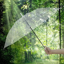 Premium Transparent Dome Umbrella with Curved Handle (1 Pc) - justgrabit.in | Just Grab It