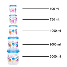 Plastic Transparent Container Air Tight Dabba Set (3000ml, 2000ml, 1000ml, 750ml, 500ml) - Justgrabit Inc.