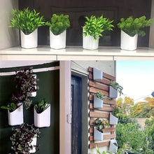 Plastic Vertical Hanging Planter Pot, Multicolour, - Justgrabit Inc.