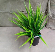 Artificial Potted Plant with Pot - Justgrabit Inc.