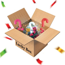Lucky Box Premium Product Lucky Box Value Rs. 1500 - Justgrabit Inc.
