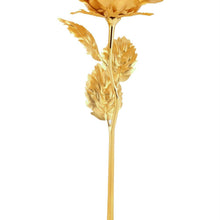 B Golden Rose is perfect for decorating homes, offices, cafes (3 Pc Set) - justgrabit.in | Just Grab It