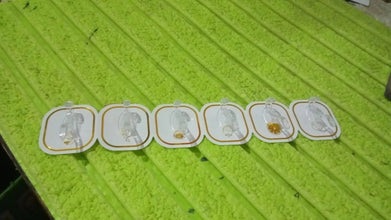 TRANSPARENT ADHESIVE WALL HOOK (6 PCS SET) - justgrabit.in | Just Grab It