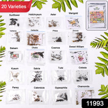 Seeds 20 Varieties of Flower Seeds Combo (1 Pkt / 20 Varieties) - justgrabit.in | Just Grab It