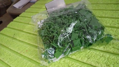 Plant Climbing Wall Fixture Clip Self - Adhesive Hook (Approx 200 Pcs Set) - justgrabit.in | Just Grab It