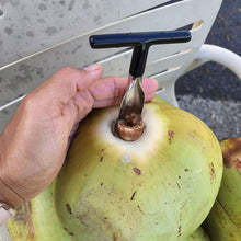 Stainless Steel Coconut Breaker Tool with Comfortable T - Handle (1 Pc) - justgrabit.in | Just Grab It