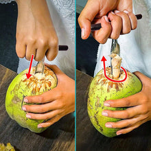 Stainless Steel Coconut Breaker Tool with Comfortable T - Handle (1 Pc) - justgrabit.in | Just Grab It