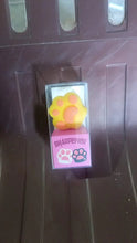 2 in 1 Pencil Sharpener & Eraser for Kids, Fancy Sharpeners - Justgrabit Inc.