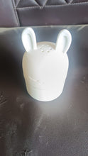 Adorable Bunny Multipurpose Kitchen Storage Box (1 pc) - justgrabit.in | Just Grab It