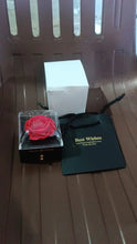 Preserved Eternal Rose Flower Gift Box Drawer (1 Pc) - Justgrabit Inc.