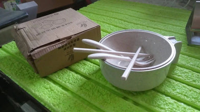 Rice Bowl Noodle Set – 6 Pcs with Lid, Handle & Cutlery - Justgrabit Inc.