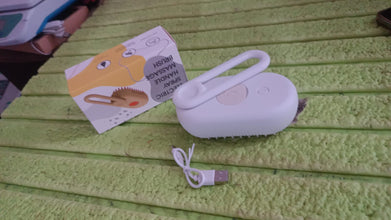 Electric Spray Handle Massage Brush, Hair Removal Brush Steam (1 Pc) - justgrabit.in | Just Grab It