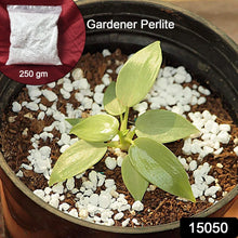 Paradise Perlite for Hydroponics & Horticulture Terrace Gardening Soil Conditioner (250 GM) - justgrabit.in | Just Grab It