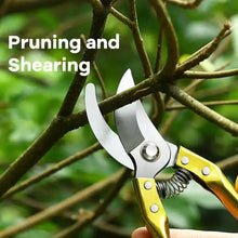 Gardening Tools - Garden Shears Pruners Scissor (1 Pc) - Justgrabit Inc.