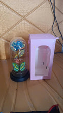 LED - Powered Eternal Rose in plastic Dome (1 Pc / Battery not Included) - Justgrabit Inc.
