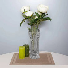 Glass Flower Pot, Crystal Clear Vase for Living - Justgrabit Inc.