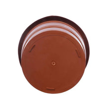 Garden Heavy Plastic Planter Pot / Gamla 8 inch (Brown, Pack of 1,Medium ) - Justgrabit Inc.