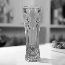 Glass Flower Pot, Crystal Clear Vase for Living - Justgrabit Inc.