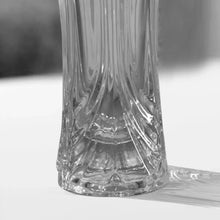 Glass Flower Pot, Crystal Clear Vase for Living - Justgrabit Inc.