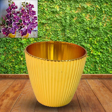 Plastic Flower Valencia (Pot) Home and Outdoor (1 Pc) - Justgrabit Inc.