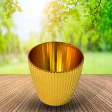 Plastic Flower Valencia (Pot) Home and Outdoor (1 Pc) - Justgrabit Inc.
