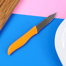 Professional Paring & Utility Kitchen Knife (1 Pc) - justgrabit.in | Just Grab It