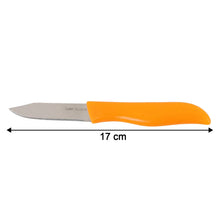 Professional Paring & Utility Kitchen Knife (1 Pc) - justgrabit.in | Just Grab It
