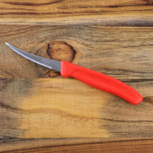 Supermom Stainless Steel Lemon Knife, Chhari (10 Pc / Set) - justgrabit.in | Just Grab It