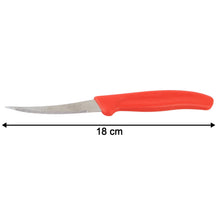 Supermom Stainless Steel Lemon Knife, Chhari (10 Pc / Set) - justgrabit.in | Just Grab It