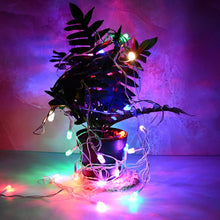 Multi - Color LED Decorative String Light (8 Meter) - Justgrabit Inc.