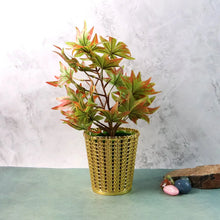 Luxury Golden Decorative Makeup Brush Holder Organizer (1 Pc) - justgrabit.in | Just Grab It