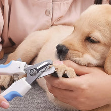 Pet Nail Clipper and Nail File Grooming Kit for Dogs and Cats (Mix Color / 2 Pc) - justgrabit.in | Just Grab It
