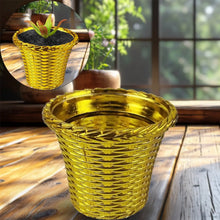 Plastic Flower Valencia (Pot) Home and Outdoor (1 Pc) - Justgrabit Inc.