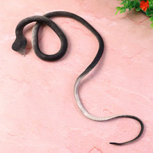 Realistic Dummy Snake Toy for Kids Pranks (1 Pc) - justgrabit.in | Just Grab It