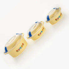Hot N Fresh Insulated Plastic Casserole Gift Set (3 Pieces) - Justgrabit Inc.