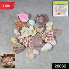 Natural Decorative Sea Shells Set (1 Set) - justgrabit.in | Just Grab It