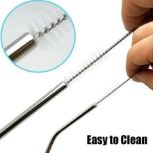 Set of 4 Stainless Steel Straws & Brush (2 Straight straws, 2 Bent straws, 1 Brush) - Justgrabit Inc.