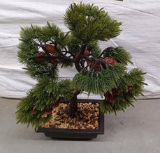 Artificial Potted Plant with Square Pot - Justgrabit Inc.